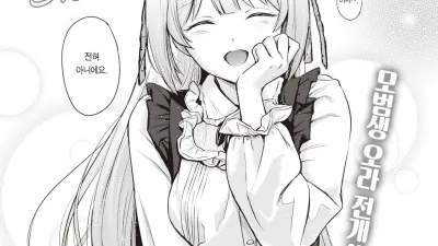 하얀 제비꽃