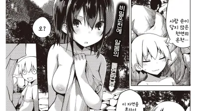반더 포겔