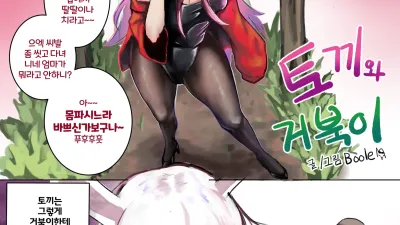 토끼와 거북이