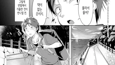 다친 제비를 찾게 되면